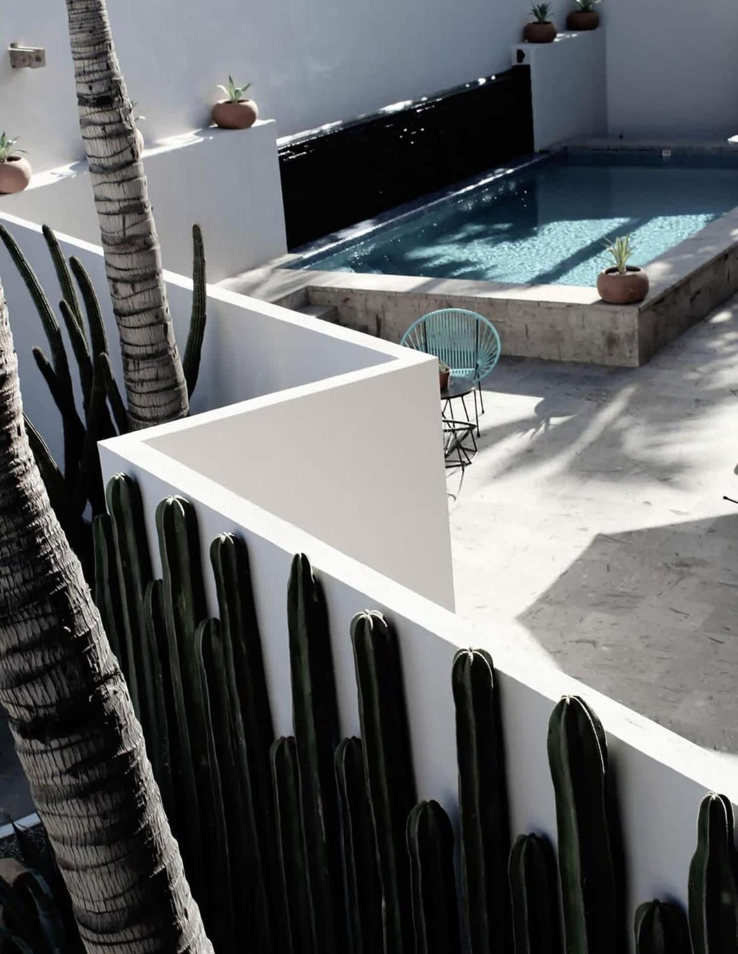 4 Splendid Twin Suite Rooms In Exclusive Boutique Hotel San Jose del Cabo Exterior photo